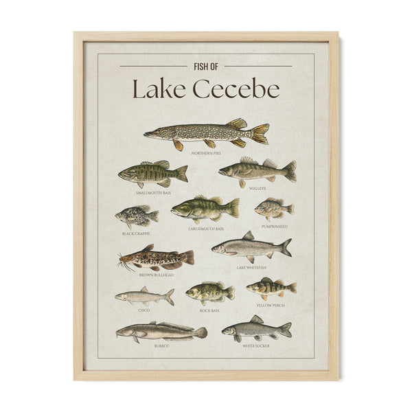 Lake Cecebe Print