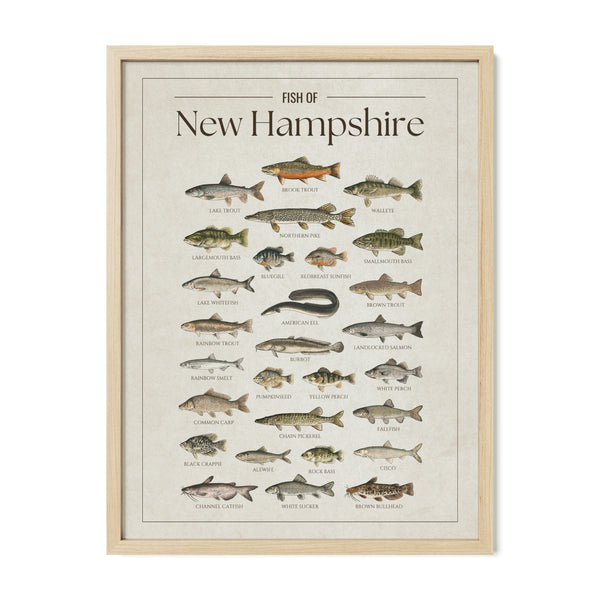New Hampshire Print