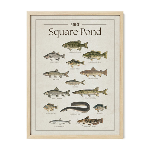 Square Pond Print