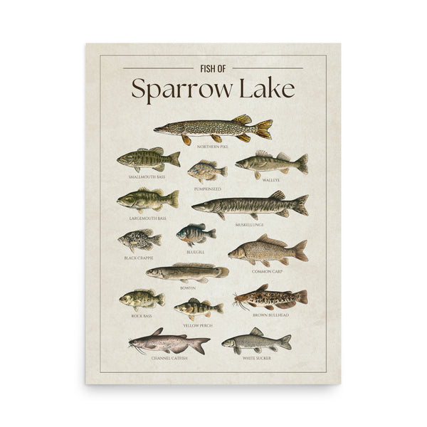 Sparrow Lake Print