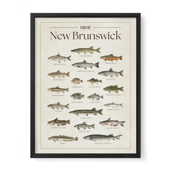 New Brunswick Print