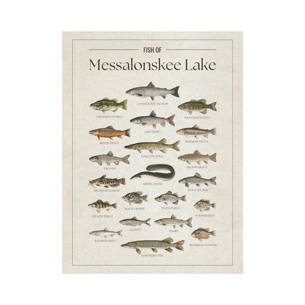 Messalonskee Lake Print