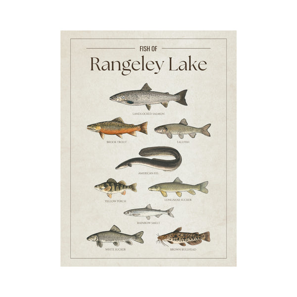 Rangeley Lake Print