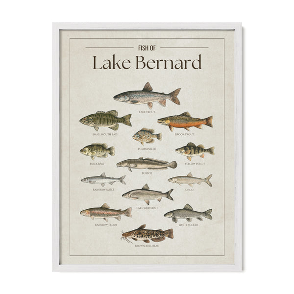 Lake Bernard Print