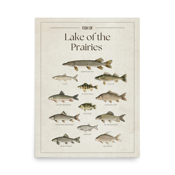 Lake of the Prairies Print