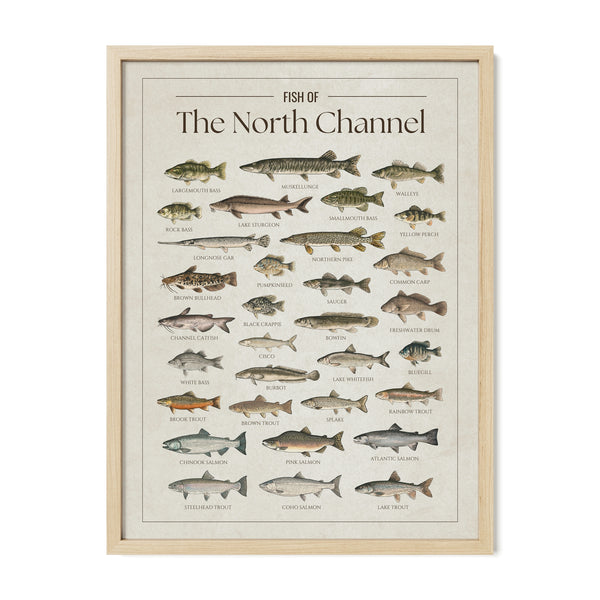 North Channel Print