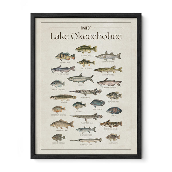 Lake Okeechobee Print