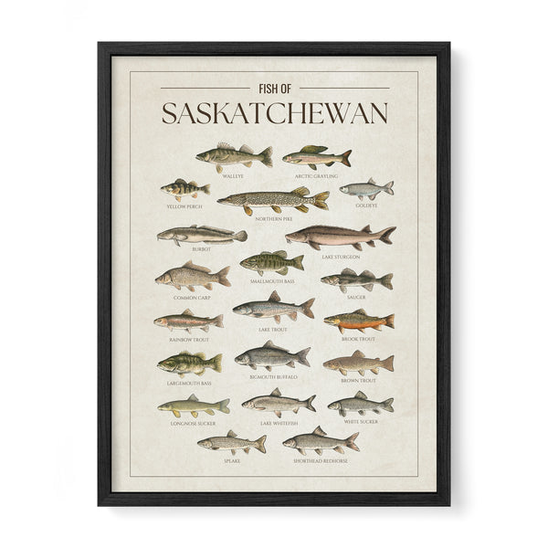 Saskatchewan Print