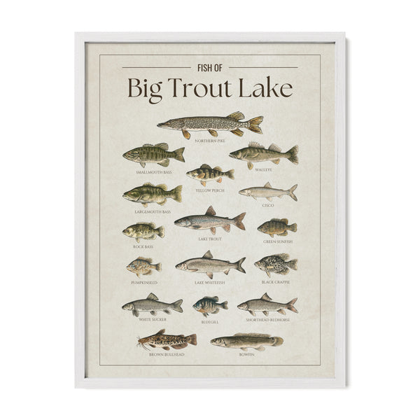 Big Trout Lake Print