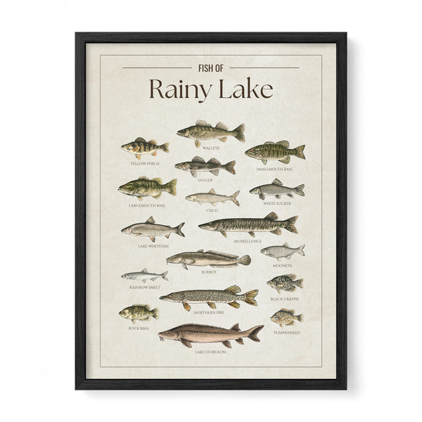 Rainy Lake Print