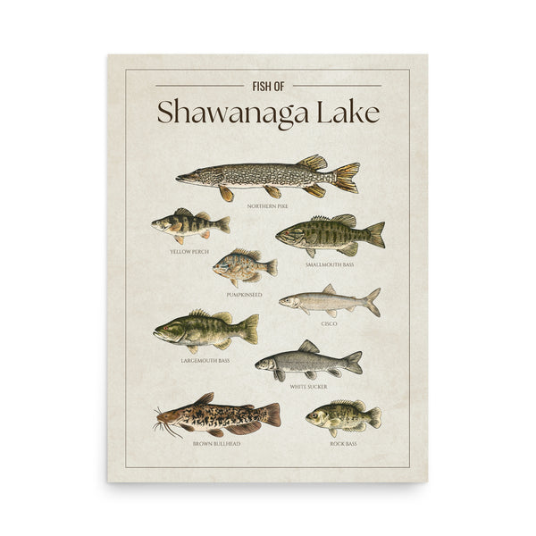 Shawanaga Lake Print