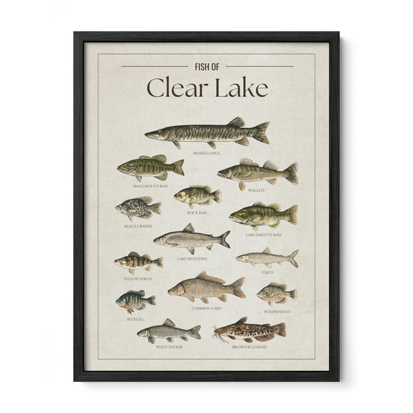 Clear Lake Print