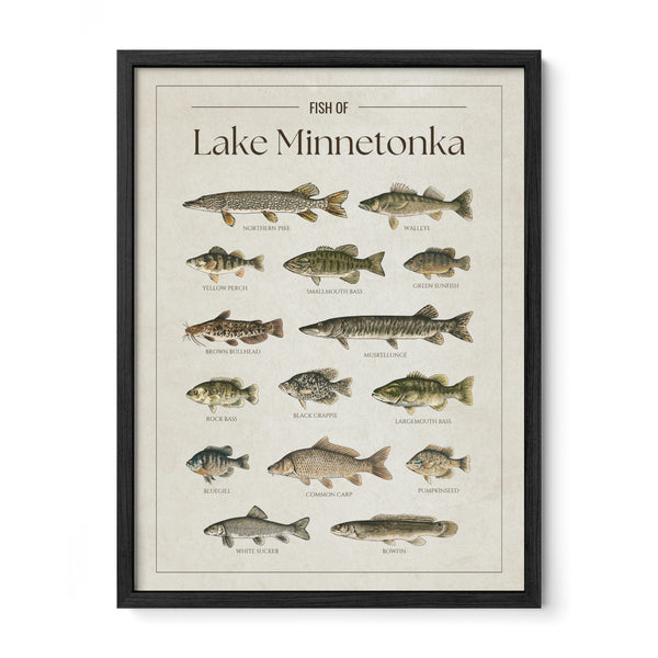 Lake Minnetonka Print