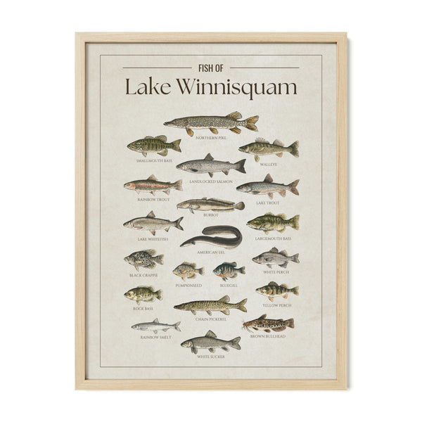 Lake Winnisquam Print