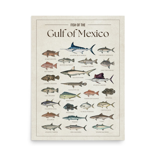Gulf of Mexico Print