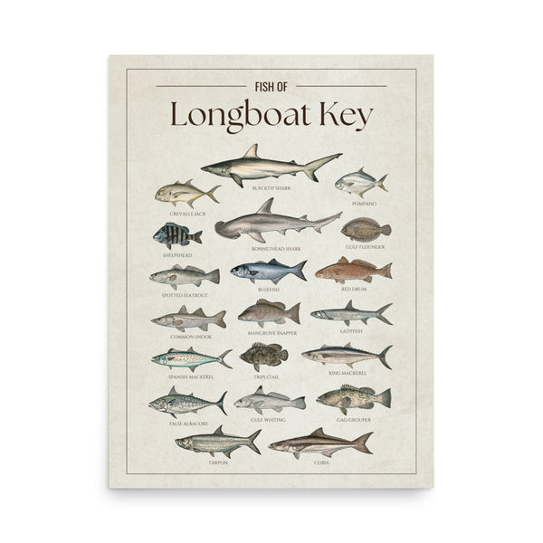 Longboat Key Print