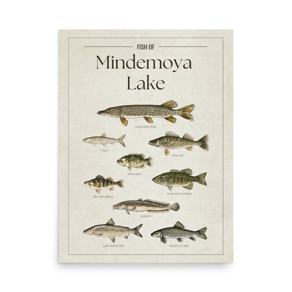 Mindemoya Lake Print