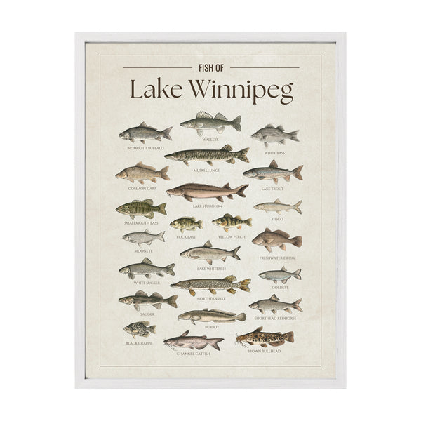 Lake Winnipeg Print