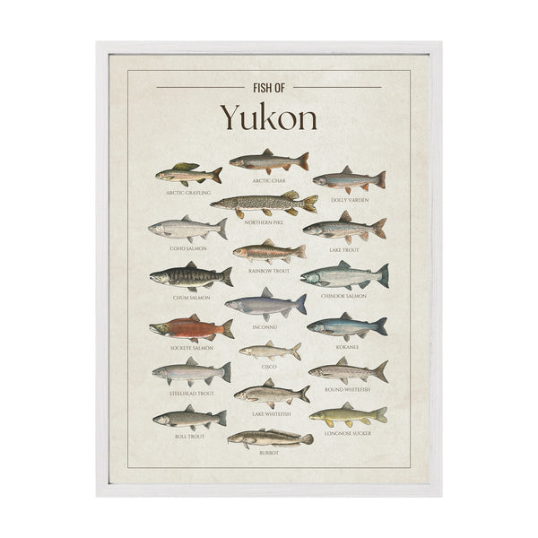 Yukon Print