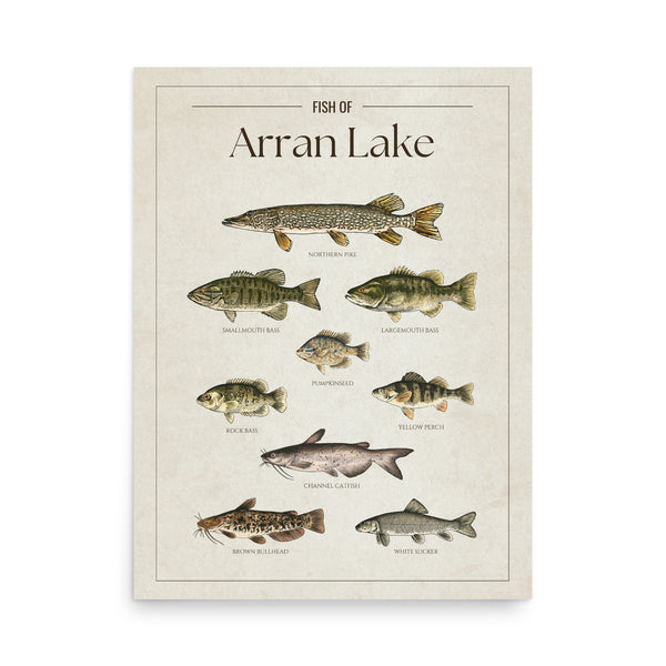 Arran Lake Print