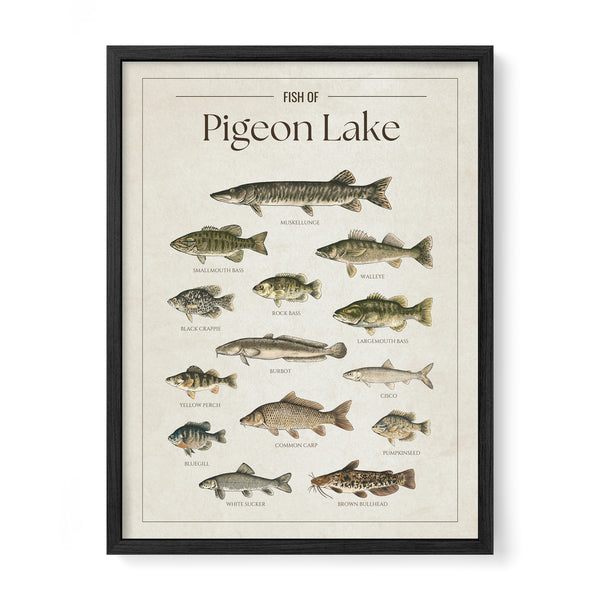 Pigeon Lake Print