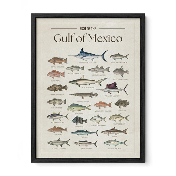 Gulf of Mexico Print