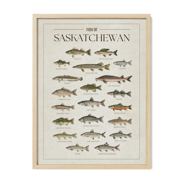 Saskatchewan Print