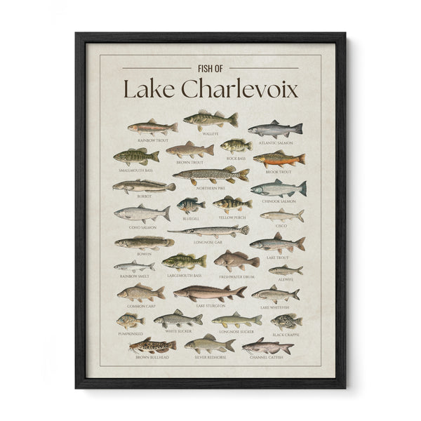 Lake Charlevoix Print