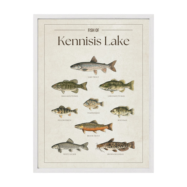 Kennisis Lake Print