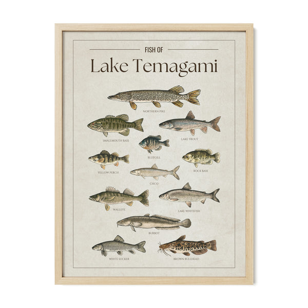 Lake Temagami Print