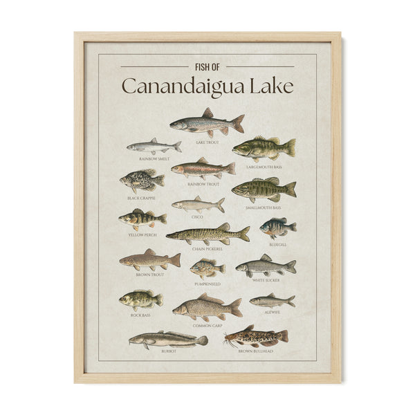 Canandaigua Lake Print