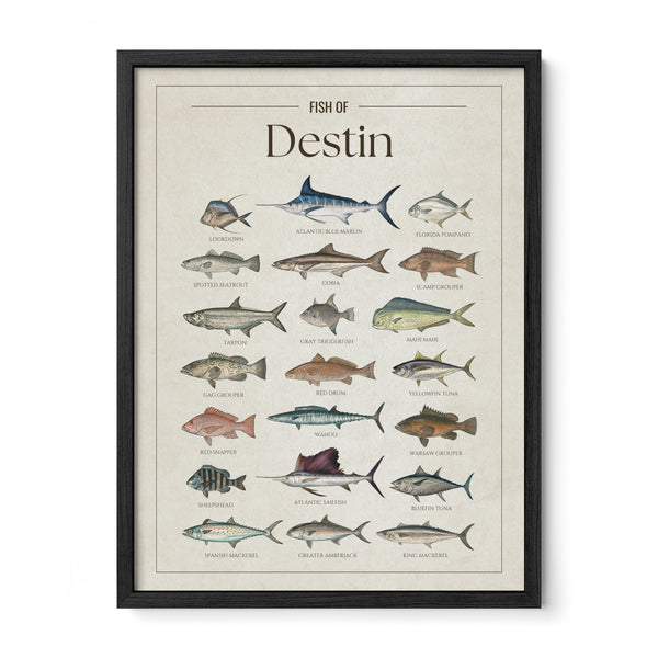 Destin Print