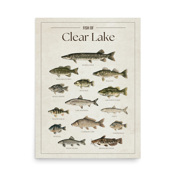 Clear Lake Print