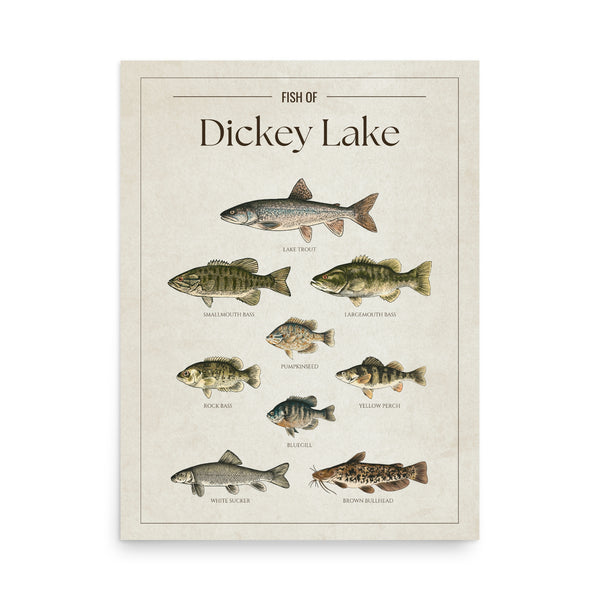 Dickey Lake Print