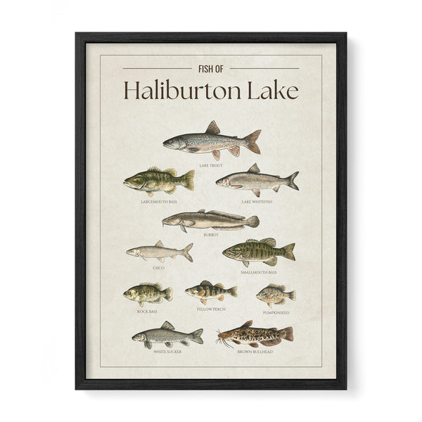 Haliburton Lake Print