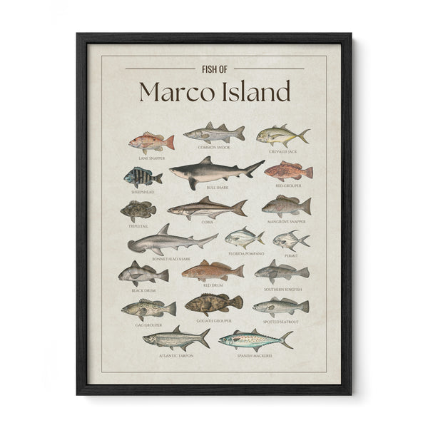 Marco Island Print