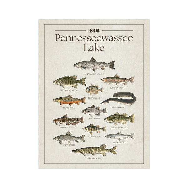 Pennesseewassee Lake Print