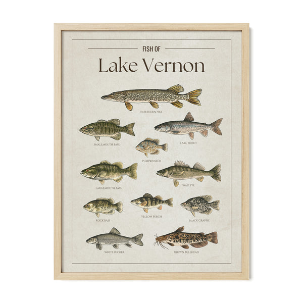 Lake Vernon Print