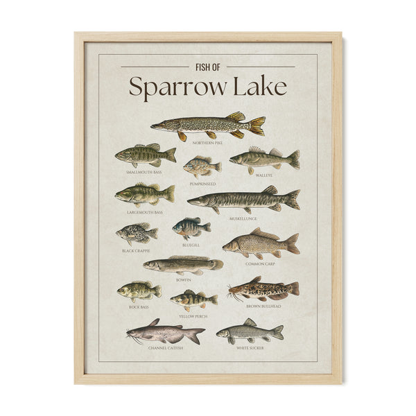 Sparrow Lake Print