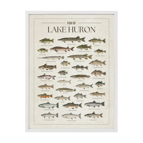 Lake Huron Print