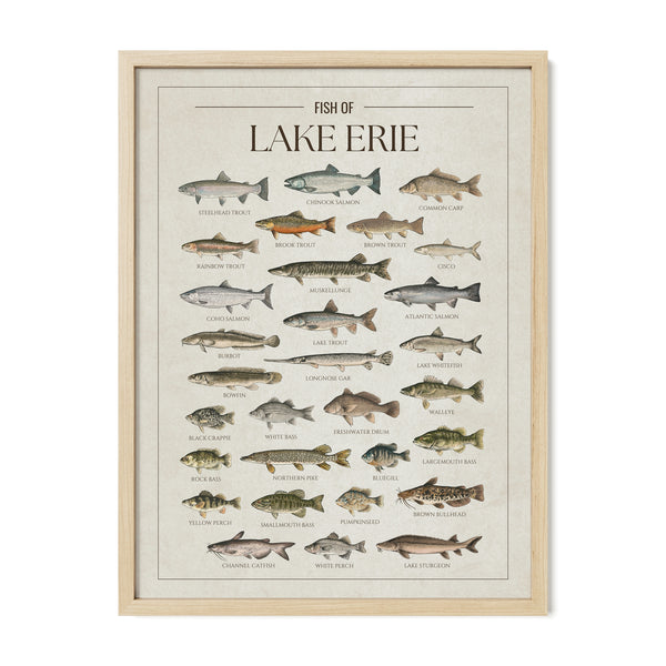 Lake Erie Print