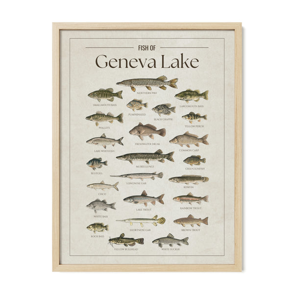 Geneva Lake Print