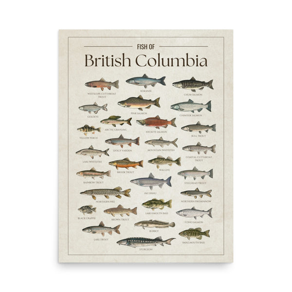 British Columbia Print