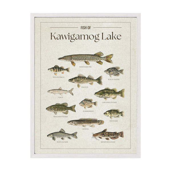 Kawigamog Lake Print