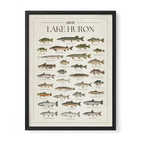 Lake Huron Print