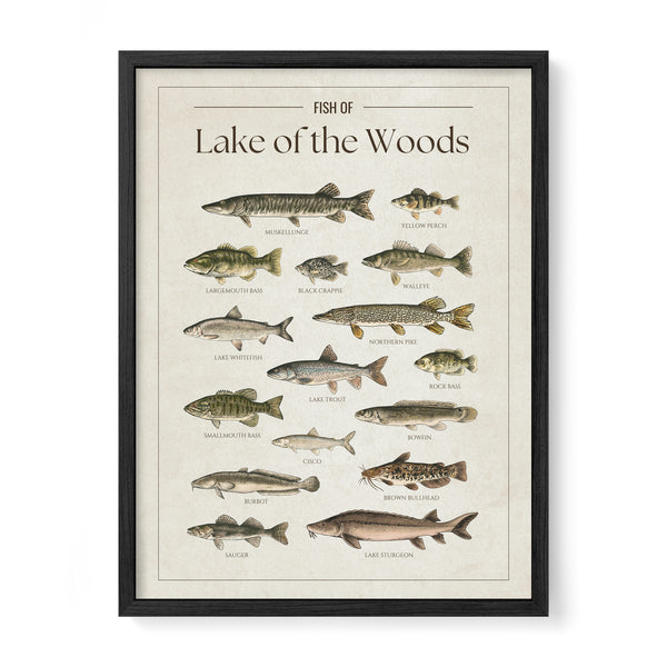 Lake of the Woods Print