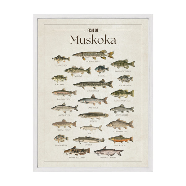 Muskoka Print