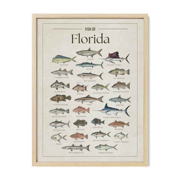 Florida Print