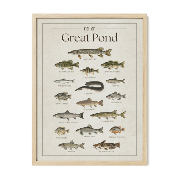 Great Pond Print