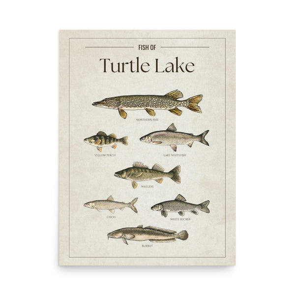 Turtle Lake Print